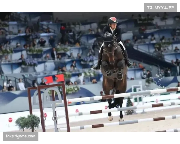 马术赛事全面升级兽医保障体系 确保赛马健康与竞赛公平