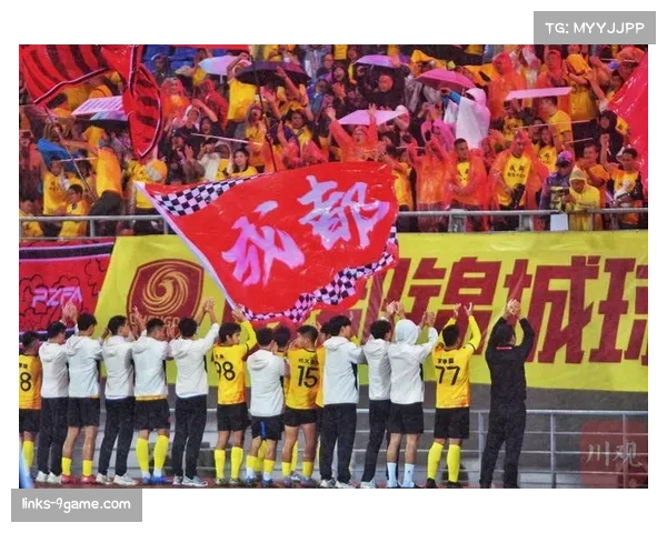 河南队对阵成都蓉城战术成功 下半场闪电扳平奠定胜局